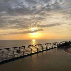 Meet your Posher, Boris